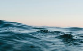 Publication Test From the Intranet