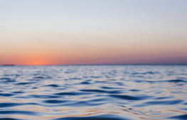 Convocatoria junta 2024